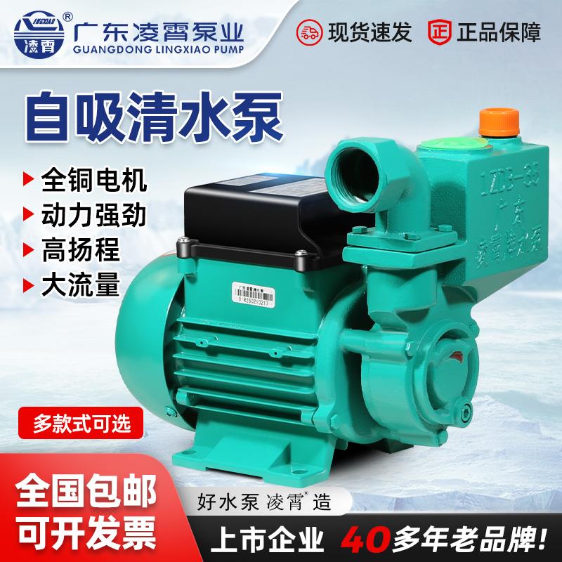 凌霄水泵1DZB-35/45/65抽水机自来水井水抽水220V自吸清水增压泵