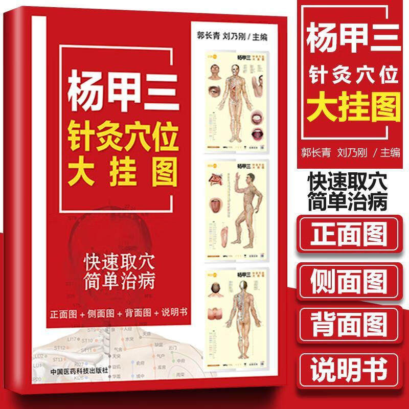 杨甲三针灸穴位大挂图郭