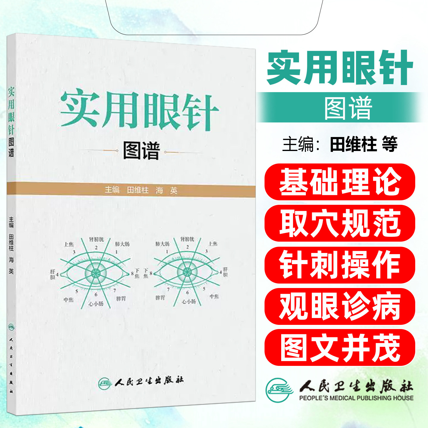 实用眼针图谱 田维柱 海英 主编 清晰展示了眼针理论渊源和临床应用方法  眼针疗法的实际应用技巧 人民卫生出版社
