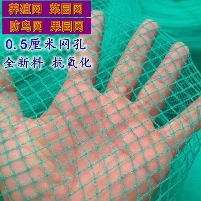 果树防鸟网罩嘉宝树无花果樱桃桃树防护防鸟网防冰雹网果园防鸟网