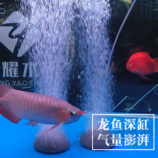 惠科 大鱼缸增氧泵大功率隔膜泵超静音家用打氧泵鱼池充氧气泵26W