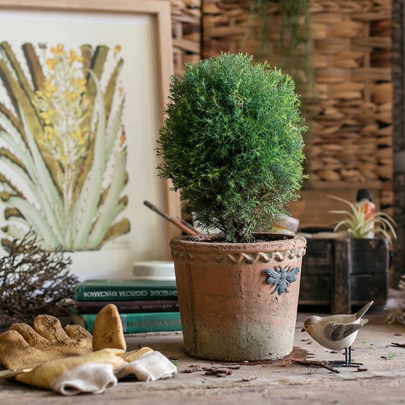 蜜蜂红陶透气花盆椭圆复古做旧粗陶创意田园盆景泥瓦阳台多肉家用