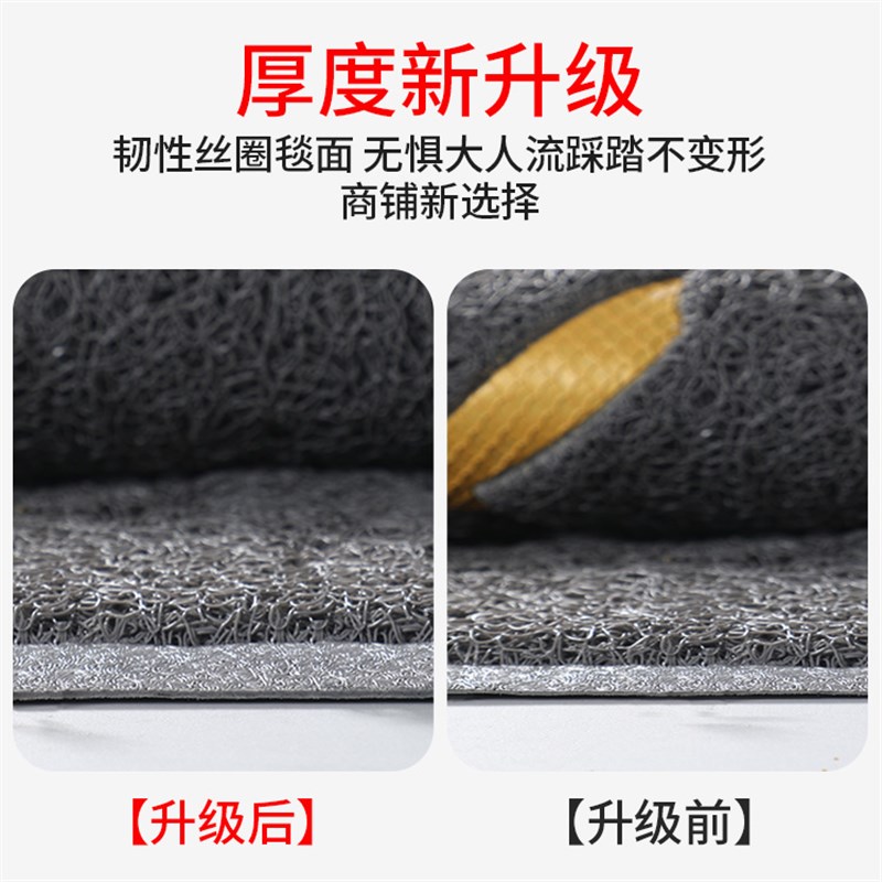 入户门地垫进门大门口耐脏丝圈脚垫门外防滑玄关门垫2024新款地毯