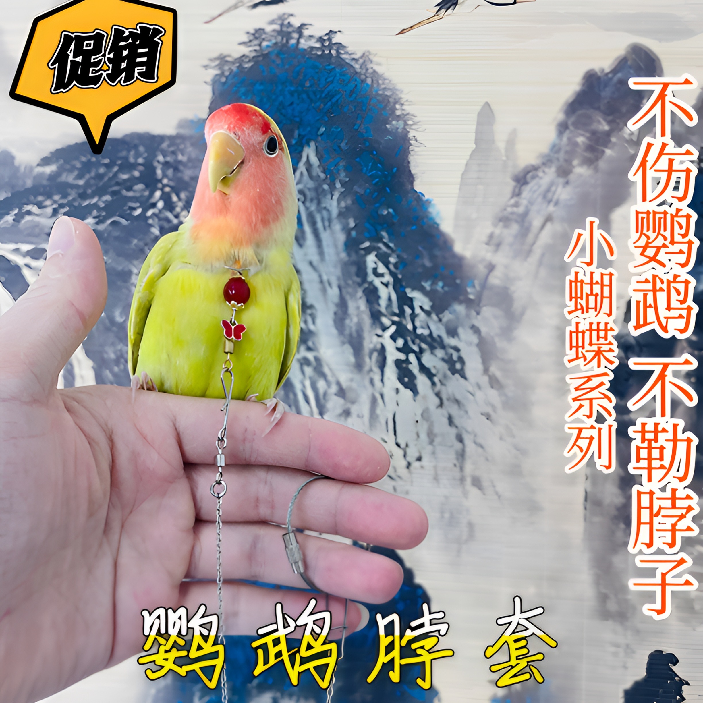 牡丹鹦鹉脖套栓鸟遛鸟链子放飞绳牵脖圈玄凤小太阳虎皮和尚脖环