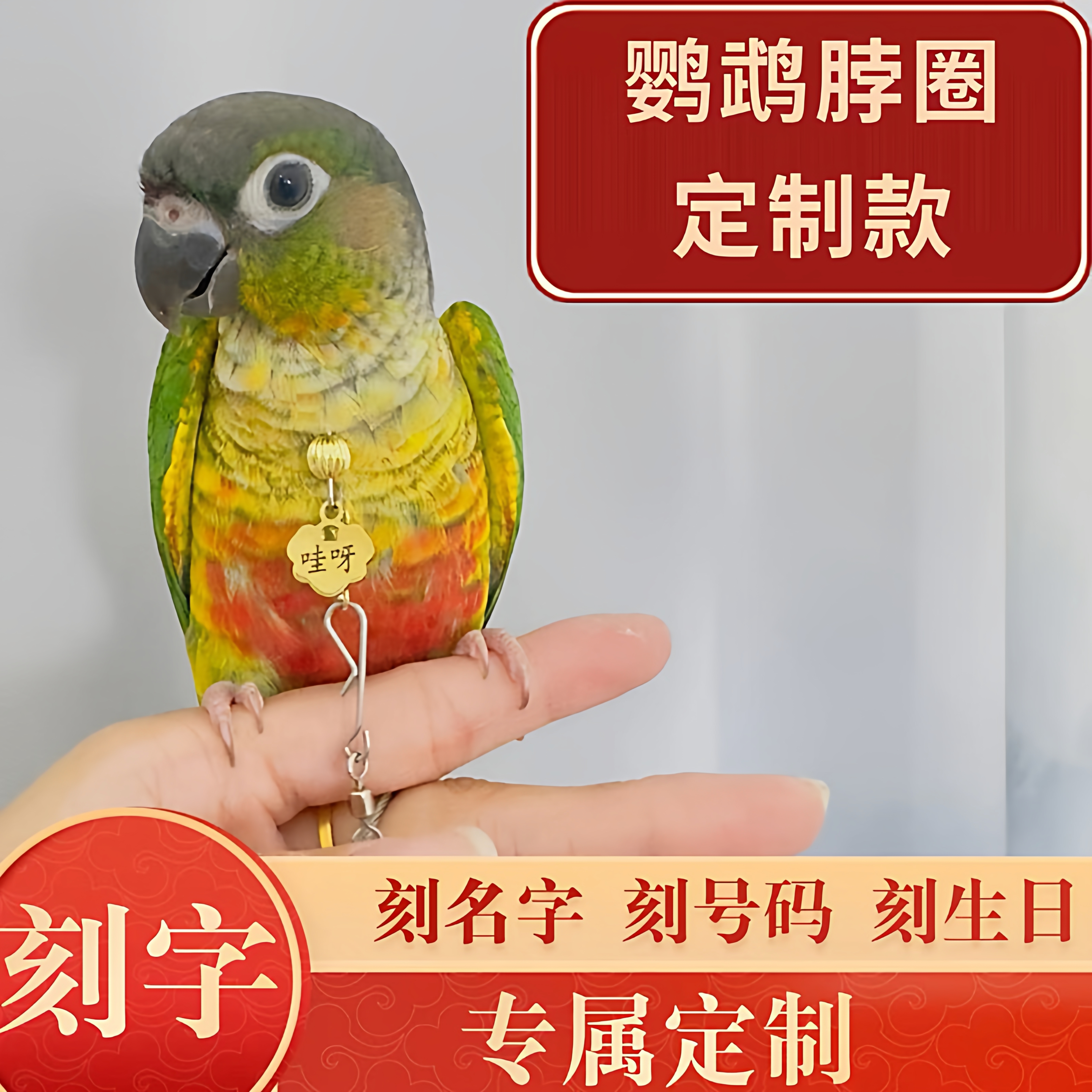 小太阳鹦鹉定制刻字脖套和尚牡丹虎皮鹦鹉户外放飞绳牵引链子脖圈