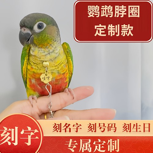 小太阳鹦鹉脖圈脖套刻字和尚牡丹玄凤鹦鹉户外放飞链子金太阳项链
