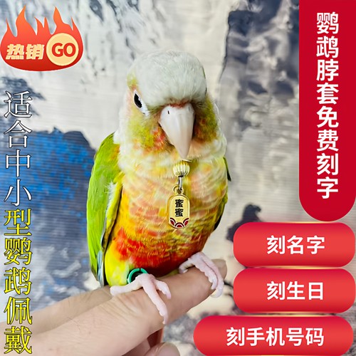 鹦鹉脖套定制刻字小太阳和尚牡丹虎皮玄凤鹦鹉脖圈链子牵引项圈