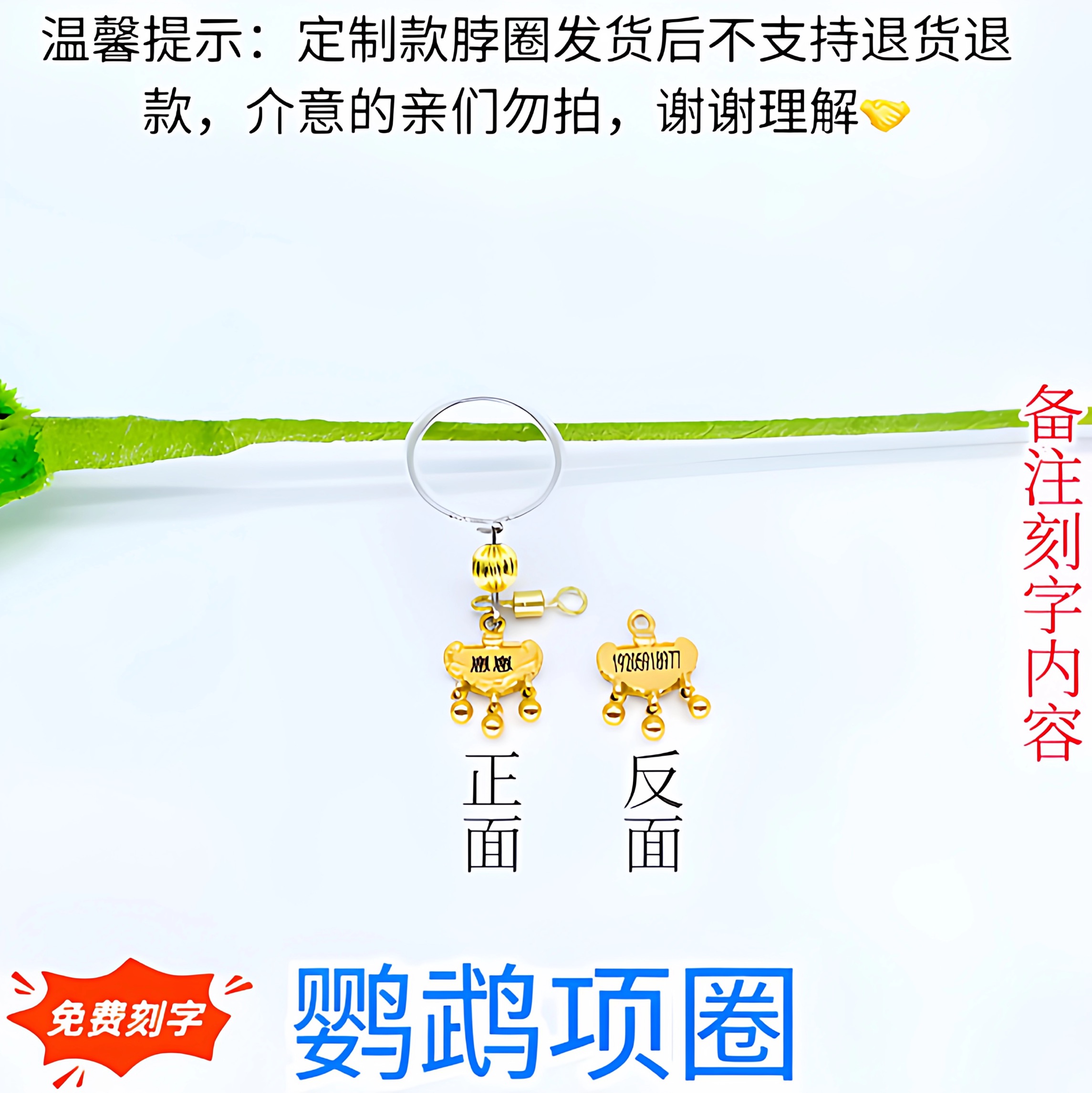 小太阳鹦鹉脖套定制刻字项链玄凤和尚金太阳脖套栓鸟放飞牵引脖圈