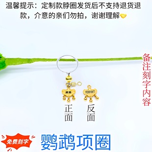 小太阳鹦鹉脖套定制刻字项链玄凤和尚金太阳脖套栓鸟放飞牵引脖圈