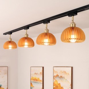 LED導(dǎo)軌射燈具 北歐原木b色全光譜客廳餐廳照明軌道燈店鋪商用明裝