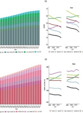 GBD数据库分析医学科研医学sci发文一对一 生信分析代做