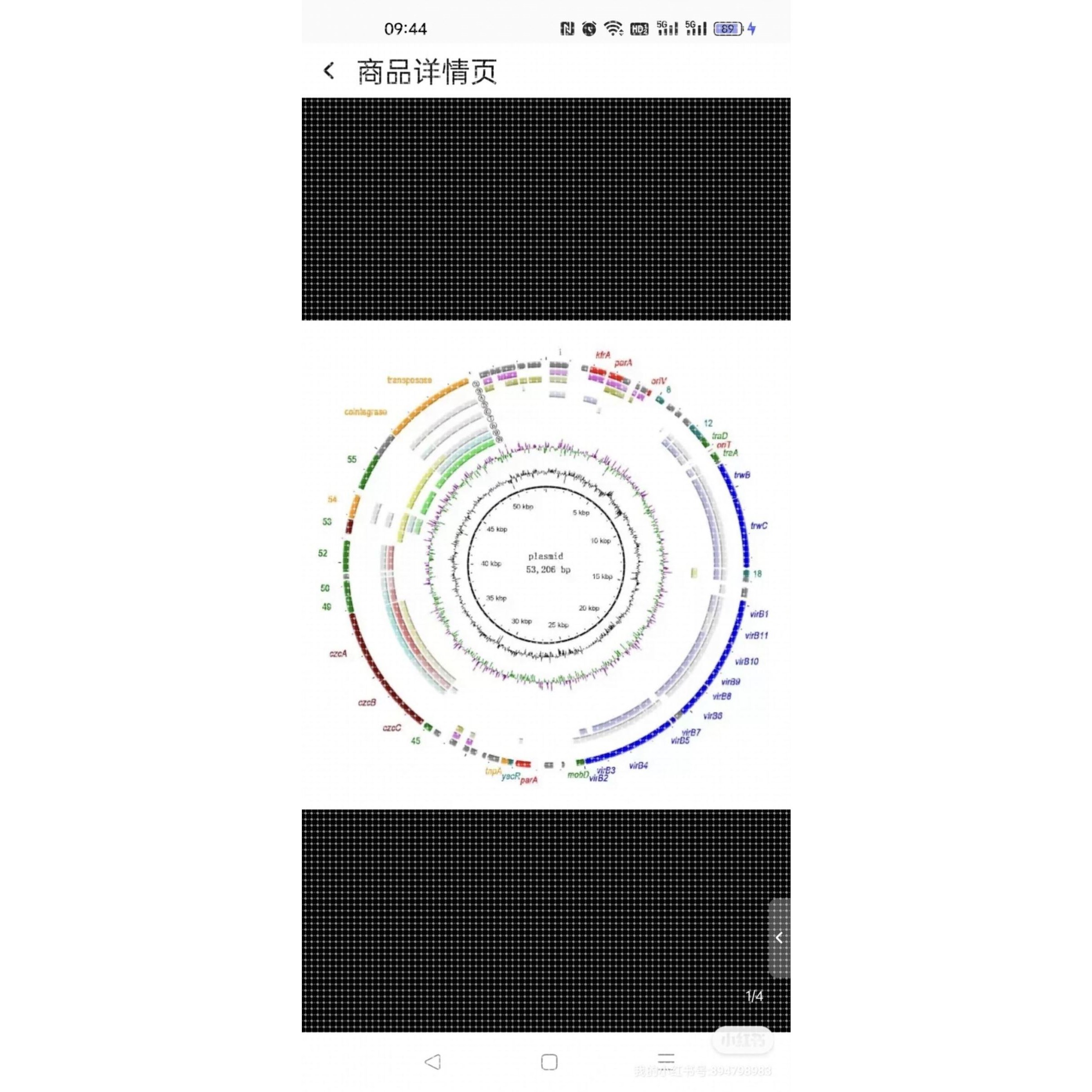 生信分析TCGA/GEO单细胞转录组测序 2-5分生信paper 医学科研服务