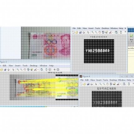 matlab程序代编代码帮做图像信号处理python代做深度学习算法彷真