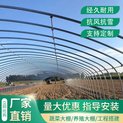 大棚骨架钢管养殖温室种植暖棚钢支架子组装全套蔬菜保温猪牛鸡舍