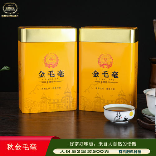 英德红茶英红九号秋茶金毛毫