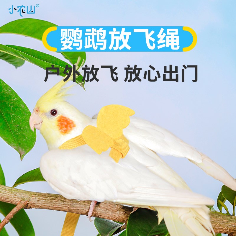 玄凤虎皮鹦鹉放飞绳背带背心款芦丁鸡外出绳子牵引绳遛鸟绳飞行绳