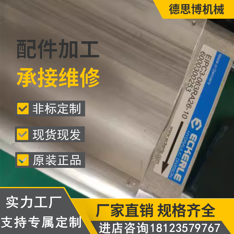 EIPC6-125/160/250RP03/250LP03-10/11德国原装ECKERLE艾可勒油泵