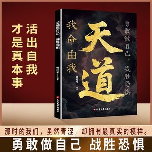 天道 ：智斗权谋的逆袭指南 底层寒门的翻身逻辑 实用社交处世c