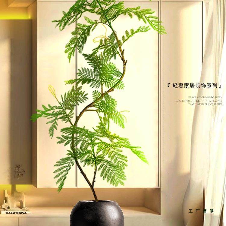 绿植装饰摆件落地大型客厅入户玄关电视柜旁边室内盆栽蓝花楹仿真