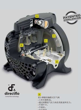西班牙SAMOA西玛DF50隔膜泵DF30 DF100 551010