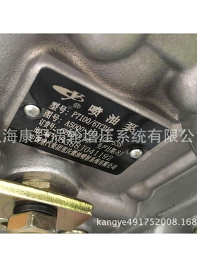 玉柴原装重庆喷油泵总成 BH6HP A5000-1111100-538R CB6P314R