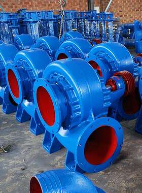 12寸大泵大口径300HW-12工业排水混流泵380V铸铁电动浇地排污泵