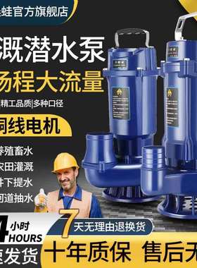 国标潜水泵220V高扬程大流量抽水泵农用灌溉潜水泵小型抽水机