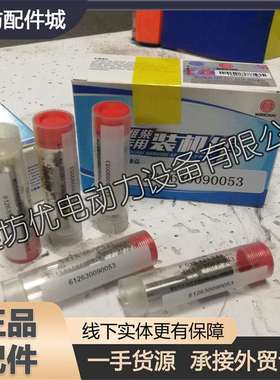 潍柴动力船用WP12WP13柴油发动机喷油器612630090053油头油嘴