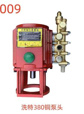 洗特380铜泵头-43009号