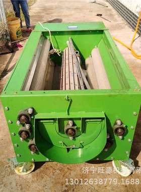 青核桃去皮清洗机全自动核桃剥皮机水循环核桃脱皮机