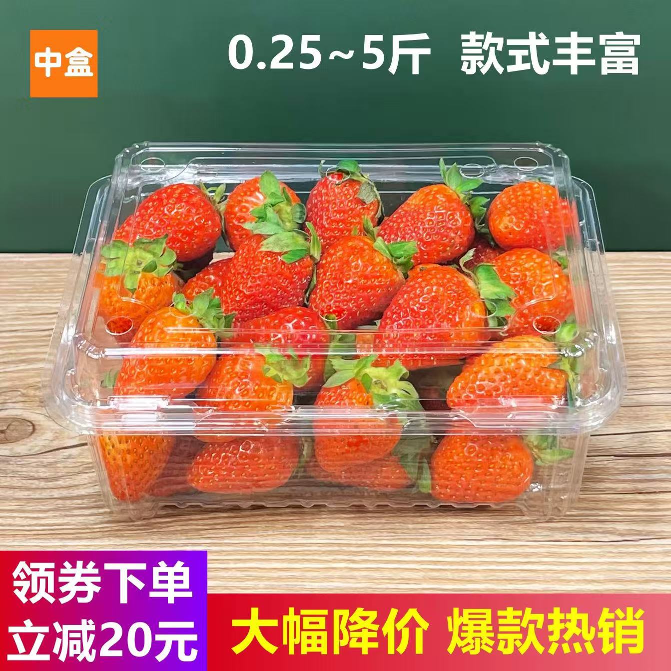 一斤装草莓盒水果包装盒一次性水果盒子透明塑料500克带盖打包盒