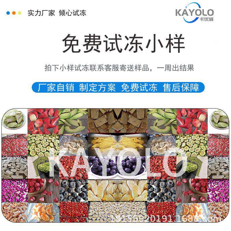 120㎡燥冷冻真干机厂家果宠物粮鸡胸肉三文TJC鱼食品空软糖冻干机