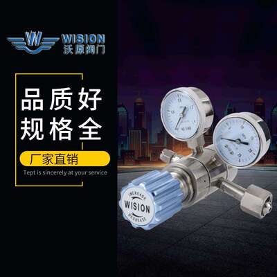 上海RW31不锈钢双级减压器 气瓶双级减压器 双表不锈钢减压器