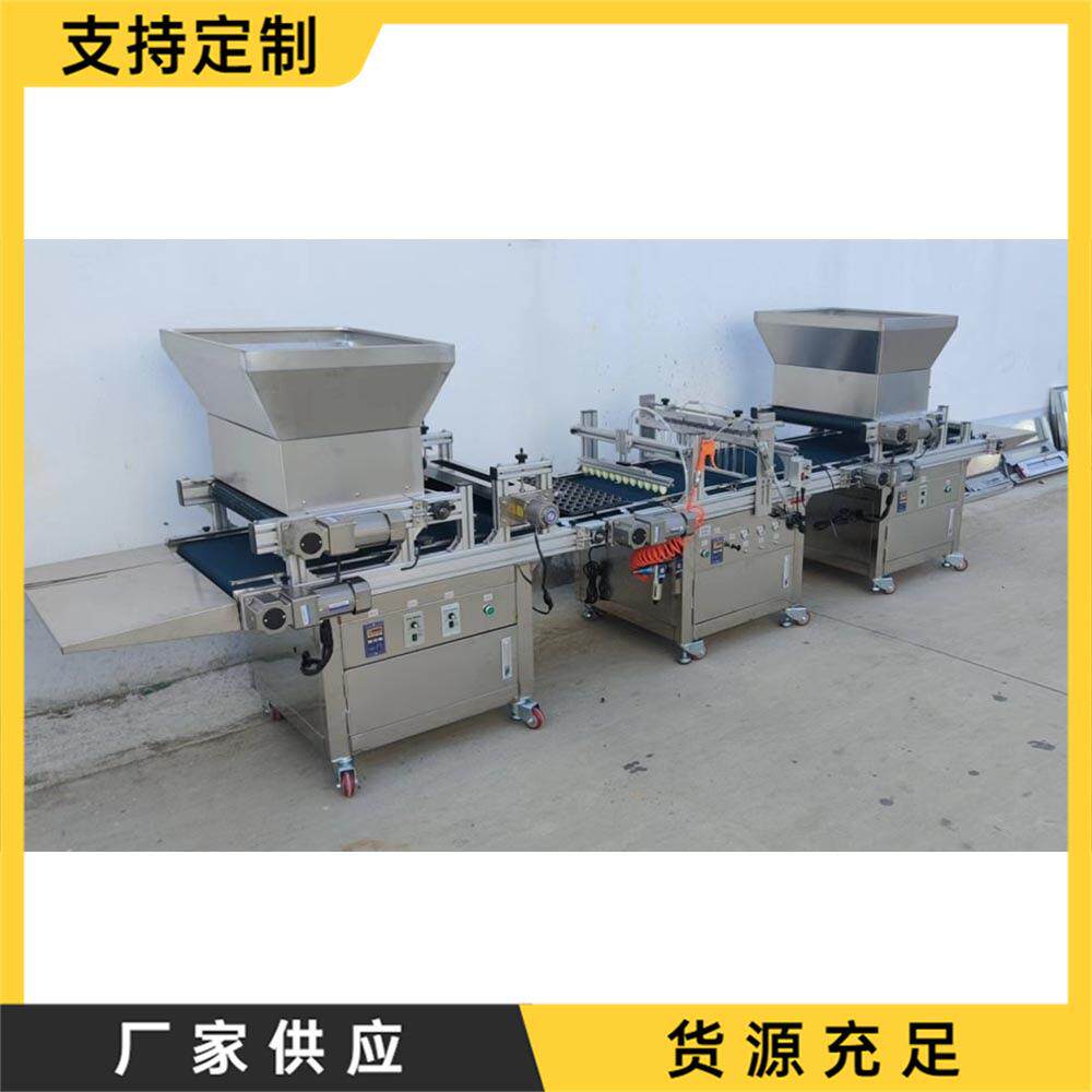 全自动穴盘育苗机装土压穴播种覆土一体机农用定量蔬菜点播机