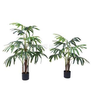 热带绿植仿真葵树五指葵盆景摆件室外造景仿真绿植盆栽室外绿植