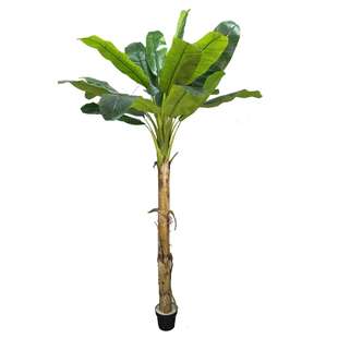 仿真芭蕉树盆栽芭蕉树摆件装饰家居室内外景观直销旅人蕉