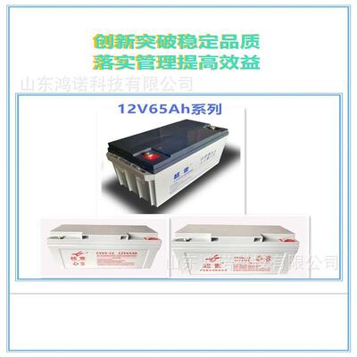 鸿诺优惠超壹蓄电池12V65AH铅酸免维护电力配电柜直流屏配套