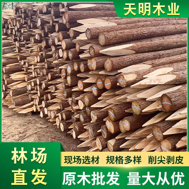 原木桩防汛木桩河道打桩木圆木桩建筑地基护坡工程防滑木头松木桩