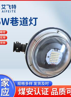 隧道照明巷道灯DJS36/127L（B）矿用隔爆本安型LED巷道灯灯具