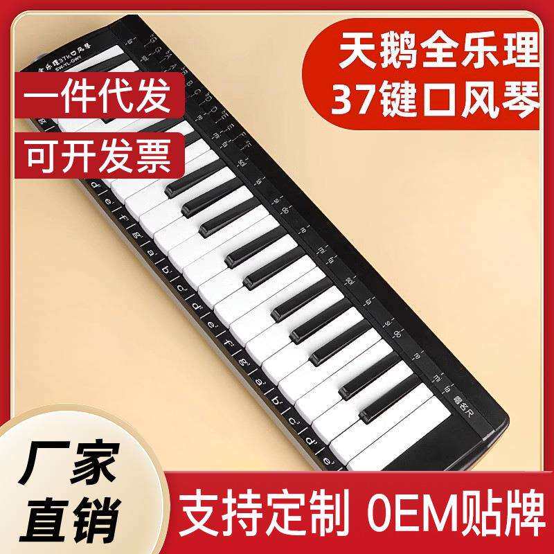 天鹅全乐理口风琴37键初学专业演奏级口吹琴吹管乐器小学生用儿童