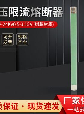 XRNP1-24KV/0.5A1A2A3.15A高压高分断能力限流熔断器保险20KV