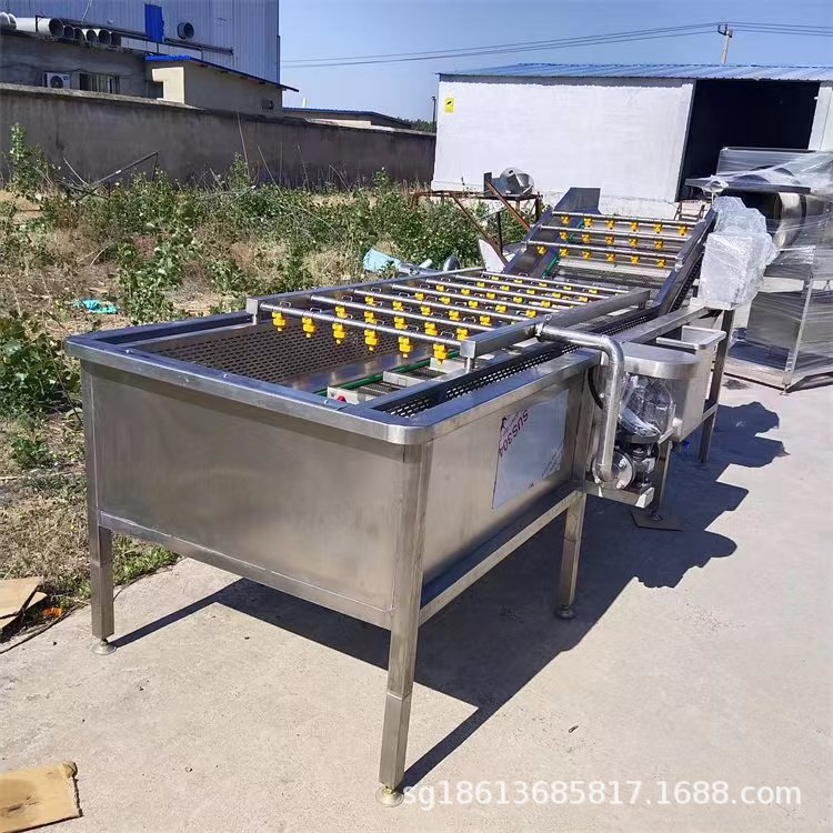 大型喷淋式自动清洗机 青椒苦瓜秋葵清洗机 鼓泡式瓜果蔬菜净洗机