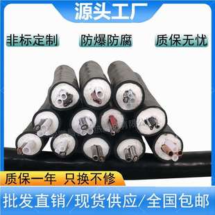 30φ8φ6伴热管线φ10伴热取样管 35W 昌普脱硫采样管JG B1C8