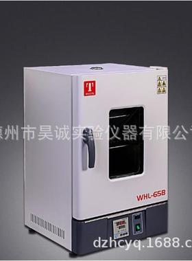 泰斯特WHL-125B(D)数显立式电热恒温干燥箱实验室烘烤高温箱