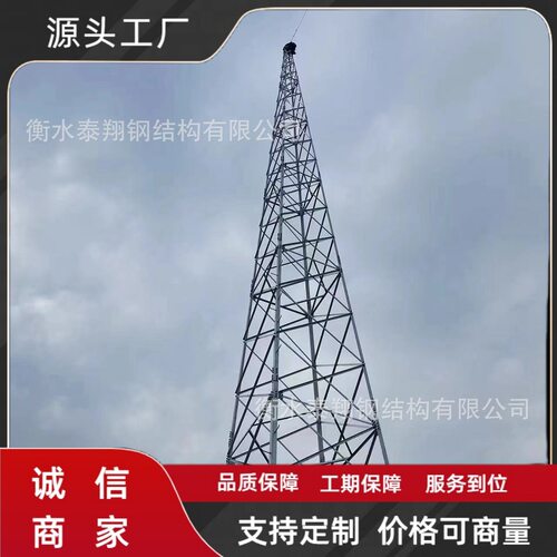 厂家制作避雷针角钢避雷塔圆钢避雷针塔镀锌钢管户外不锈钢接闪杆