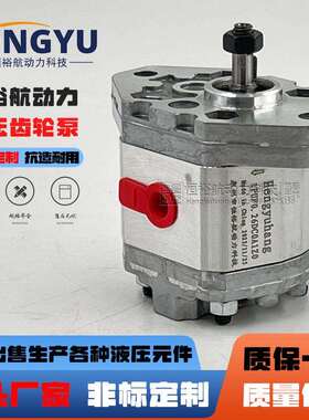 Hengyuhang齿轮泵1PUF0.26DC0A1Z0平替MARZOCCHI马祖奇0.25D0.5D