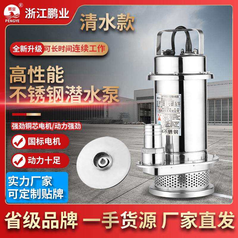 耐酸碱腐蚀抽水泵小型220v家用高扬程大流量农用灌溉潜水泵增压泵