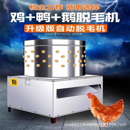 不锈钢快速去毛机器商用鸡鸭鹅脱毛机全自动家禽拔毛机电动打毛机