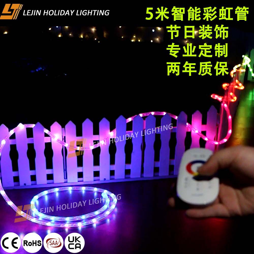 跨境PVC智能彩虹管节日户外景观彩灯220VPLC控制器防水霓虹管