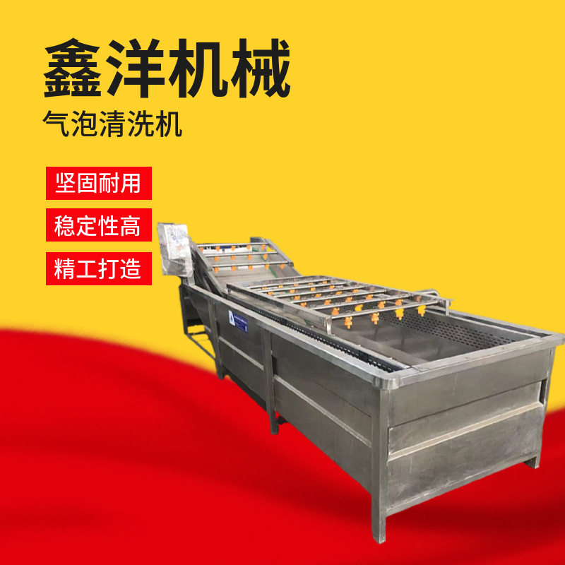 千禧果西红柿气泡清洗机蔬菜水果清洗设备扇贝海产品清洗流水线